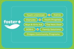 List of Foster Plus partner agencies